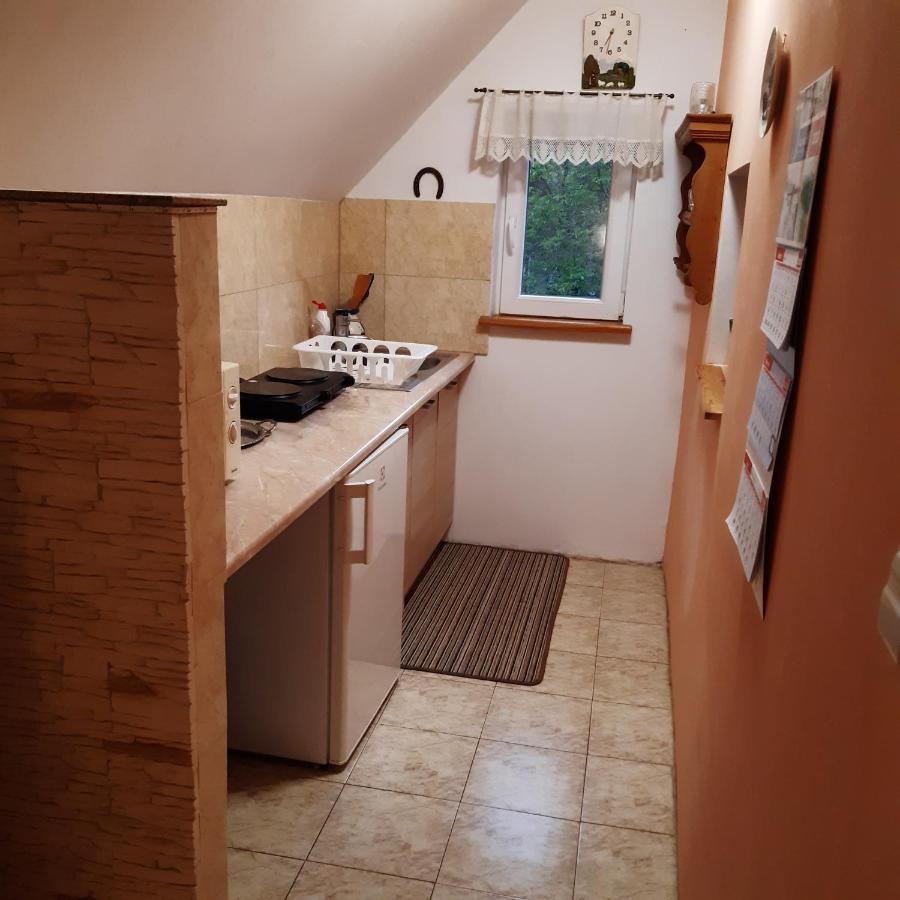 Agroturystyka Brzozowe Wzgorze Wlen 외부 사진