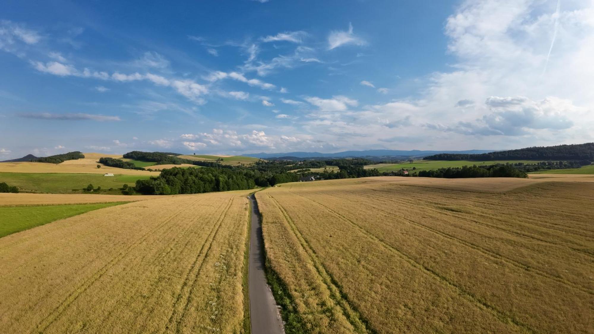 Agroturystyka Brzozowe Wzgorze Wlen 외부 사진
